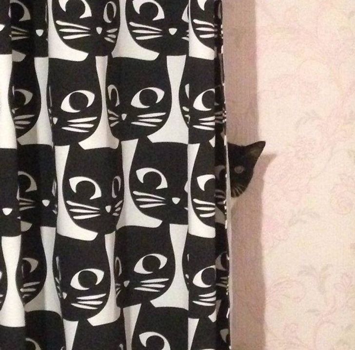 edaad15a4b8f8bdf9c051420c5