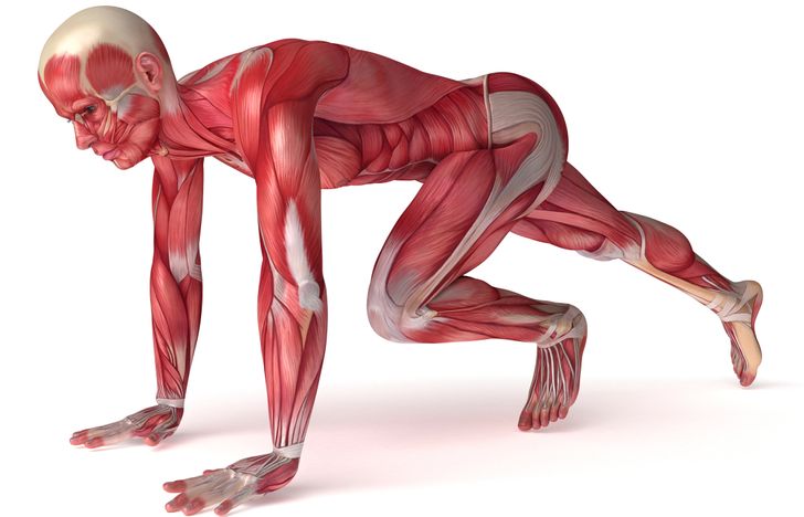 edae9850d38cb61a044225d01f