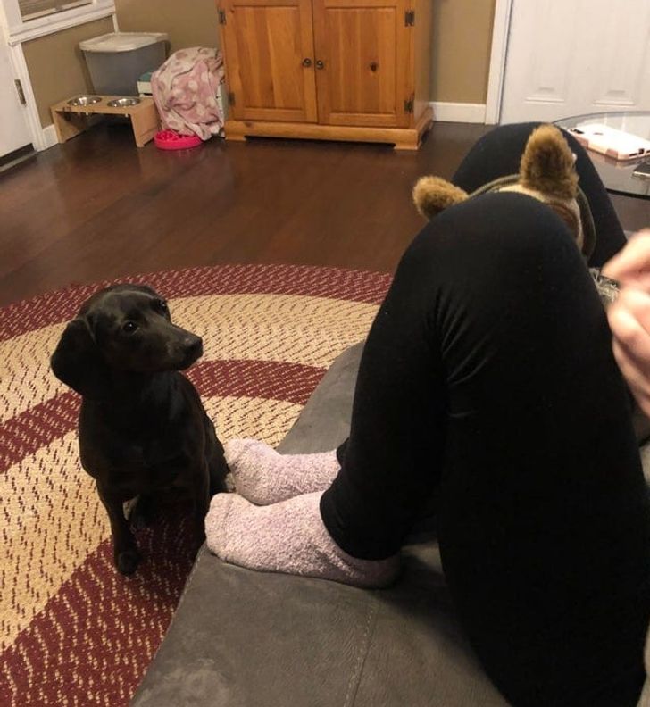 edb11c5db8983bdf6f4651079b