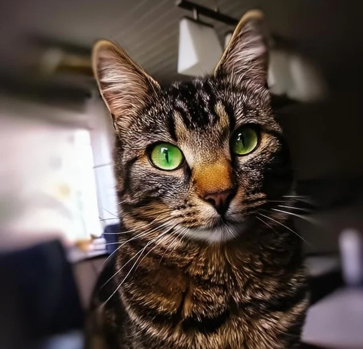 edbfca5b31bce816283e3b09f0