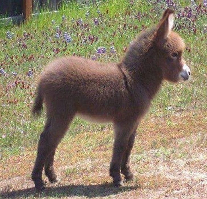 edc4d154c59c923c4fab340ab0