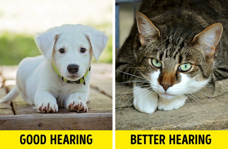 edc64b512a923673de4c4f8123