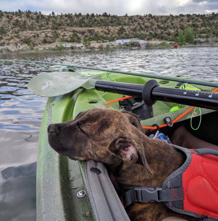 edc8085d0092343e8e5a912119