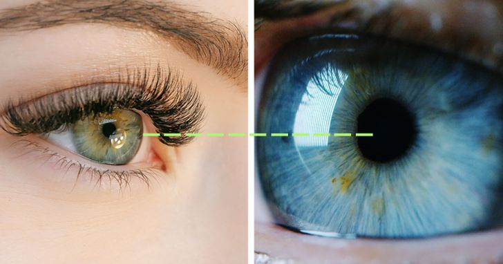 edc82d5f4a918152fde48d91a2