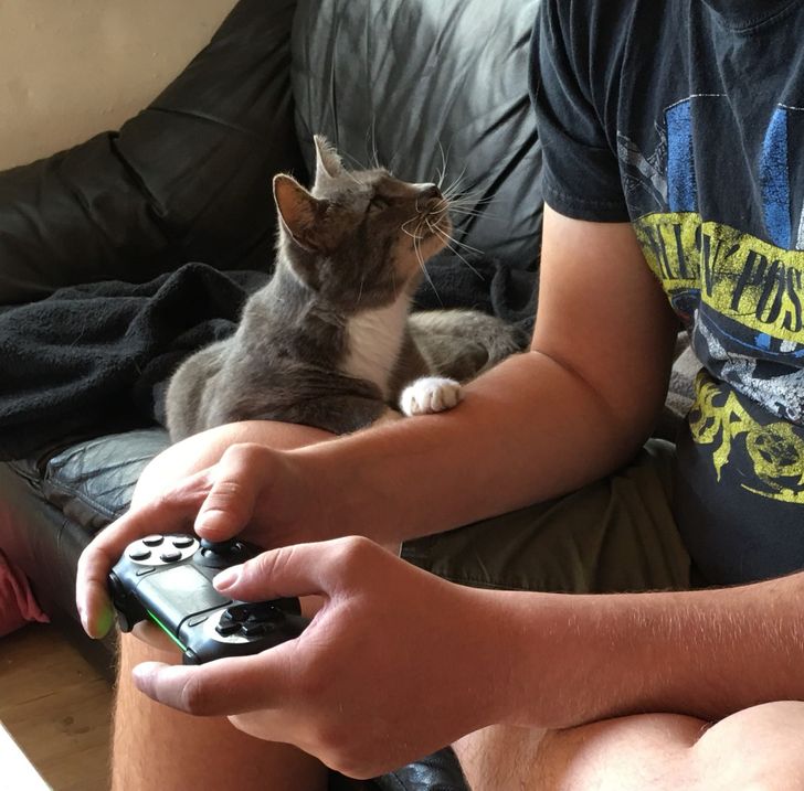 edd5c85aff84b74eae77350bb2-1 edd5c85aff84b74eae77350bb2-1