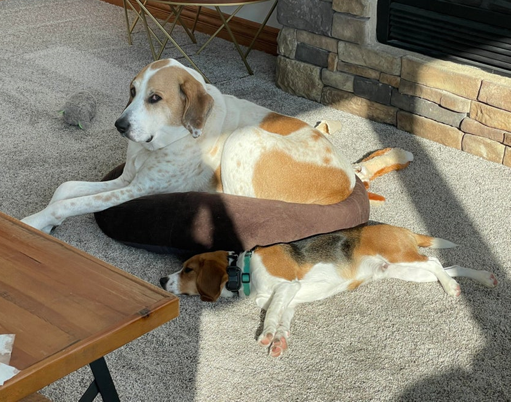 eddd5d522993242599e57c2d0f