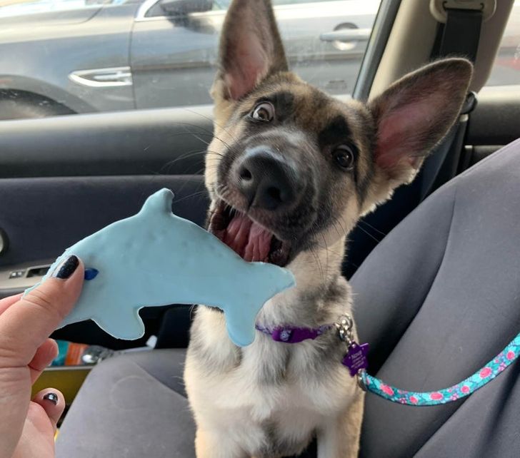 eddeb35325863c99be10cb6a82