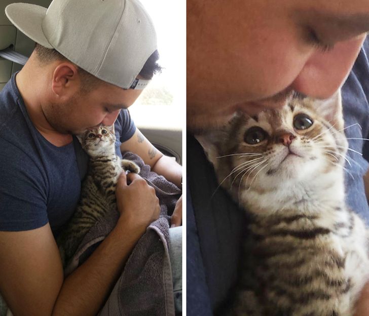 ede6dc54809ed1d286ff3a77ea