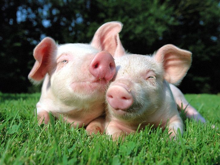 ee015a5405affe2f1bbfbd95a6