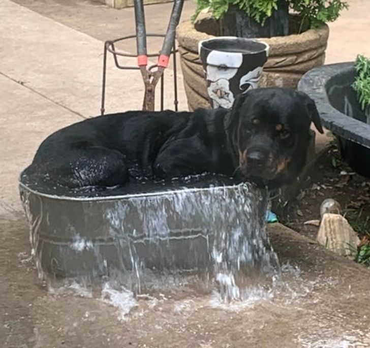 ee0dbd5a1ea3e0349171cf98be