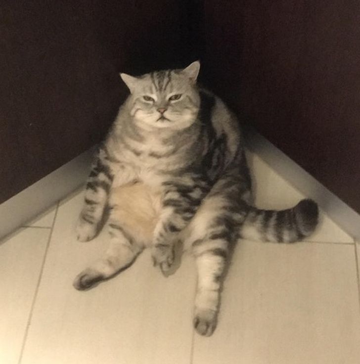 ee1e6155f1a6486961821a39b0