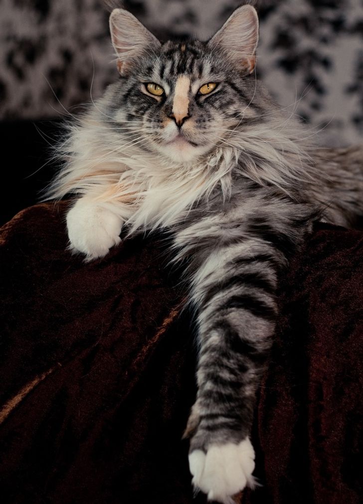 ee22ff5e68af736363a3064ebc