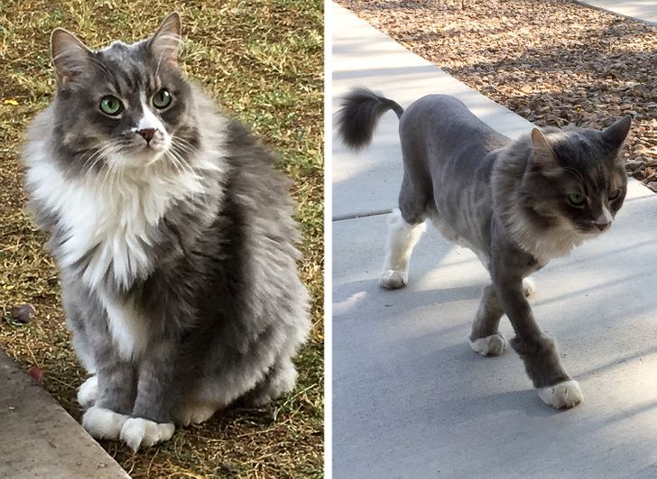 ee26155ce99bde7fa46106c25d