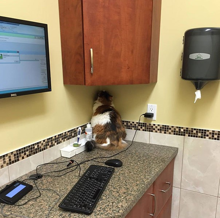 ee28325aefbae49c127d47a5f4 ee28325aefbae49c127d47a5f4