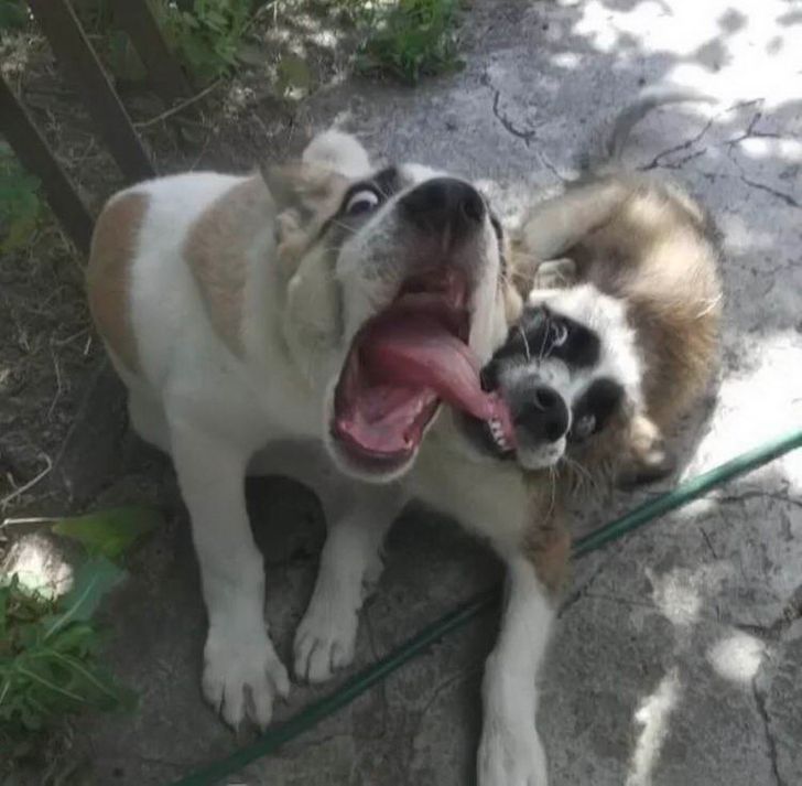 ee2f1357f7aa7995d406d3782e