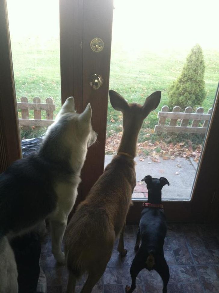 ee406f5c6fb7fdb193e705c2ea