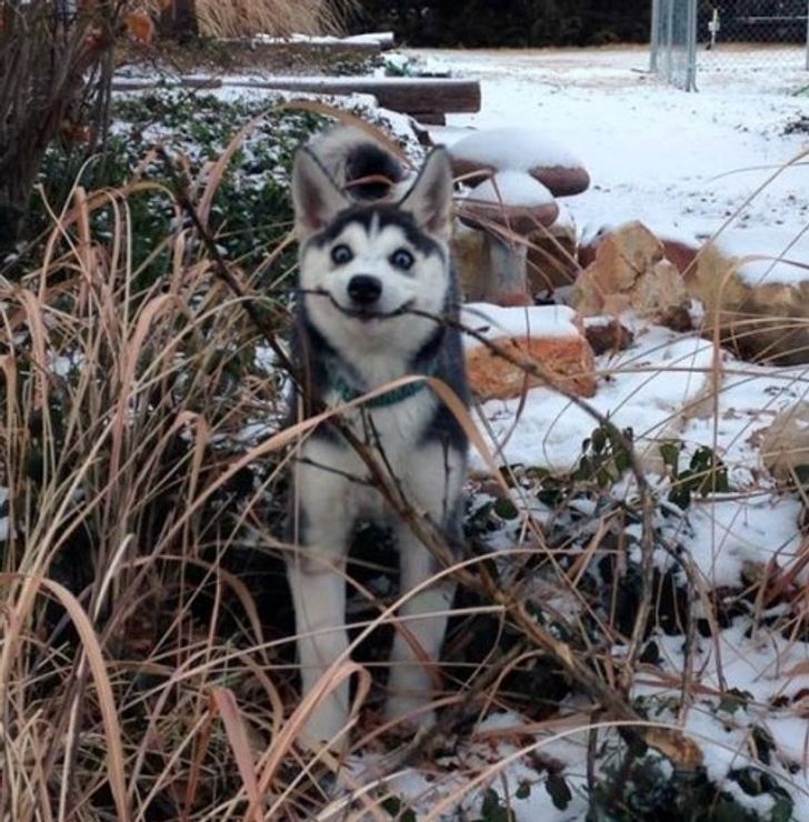 ee4e56577888cb881f596eb004