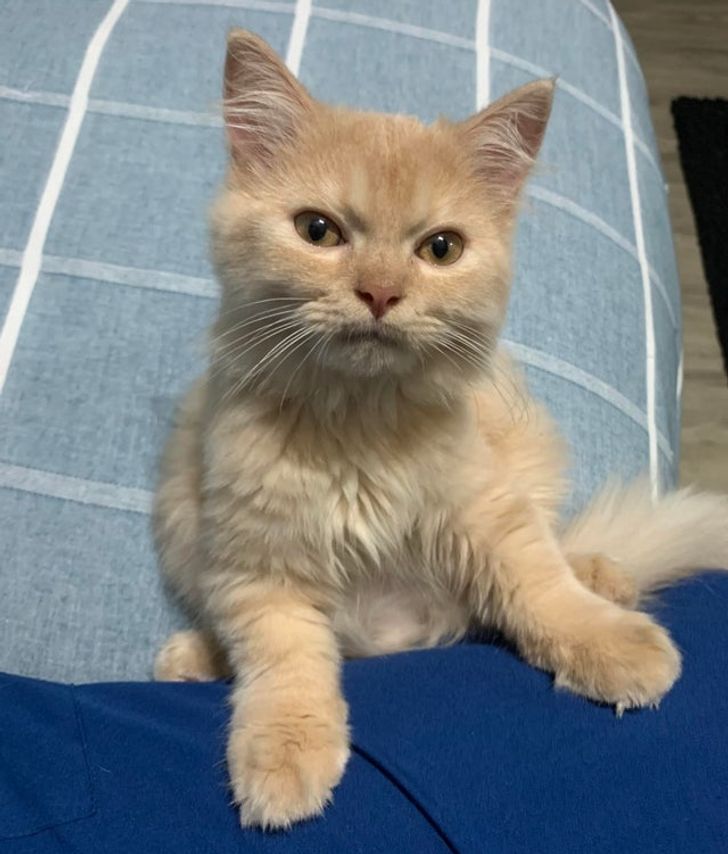 ee511155b8b63e05a371c9a103