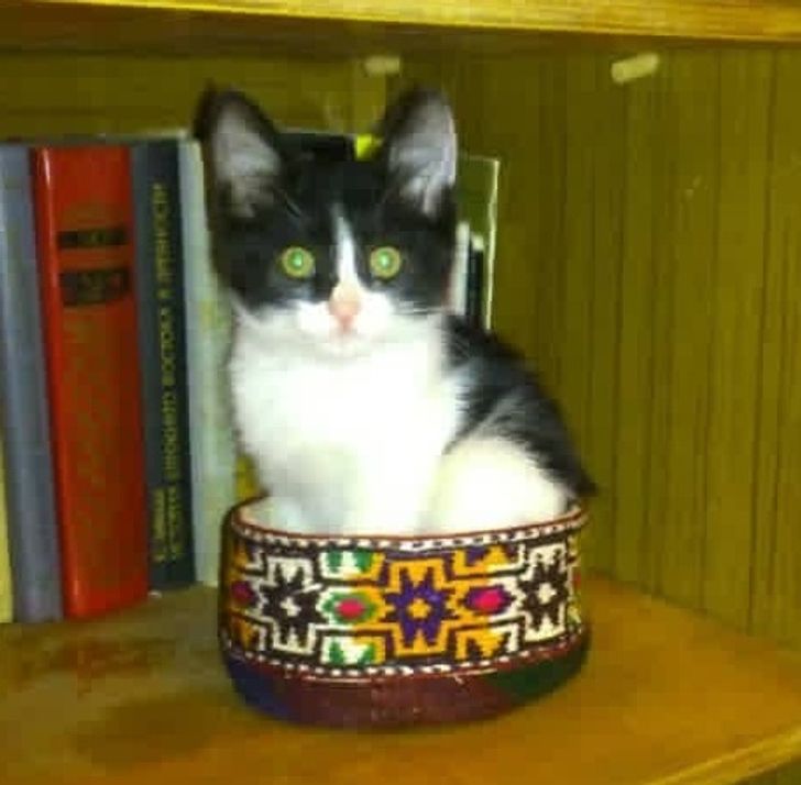 ee5bb659d783302773509caac8 ee5bb659d783302773509caac8