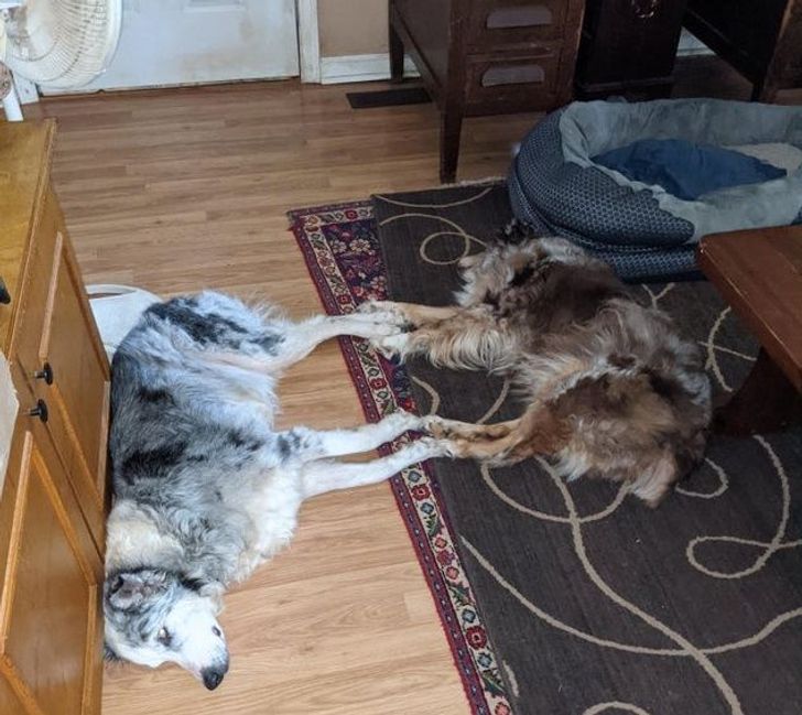 ee5d7a5bcd967bcee391040936