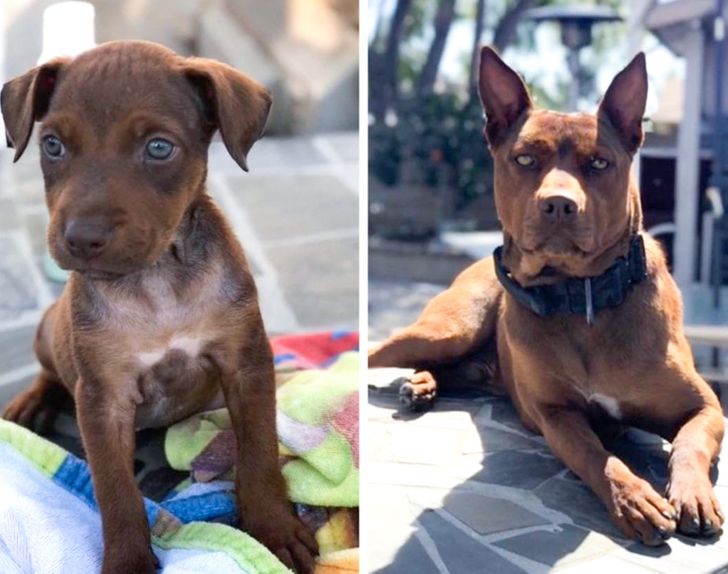 ee6b37561d8c9569383c0992c3