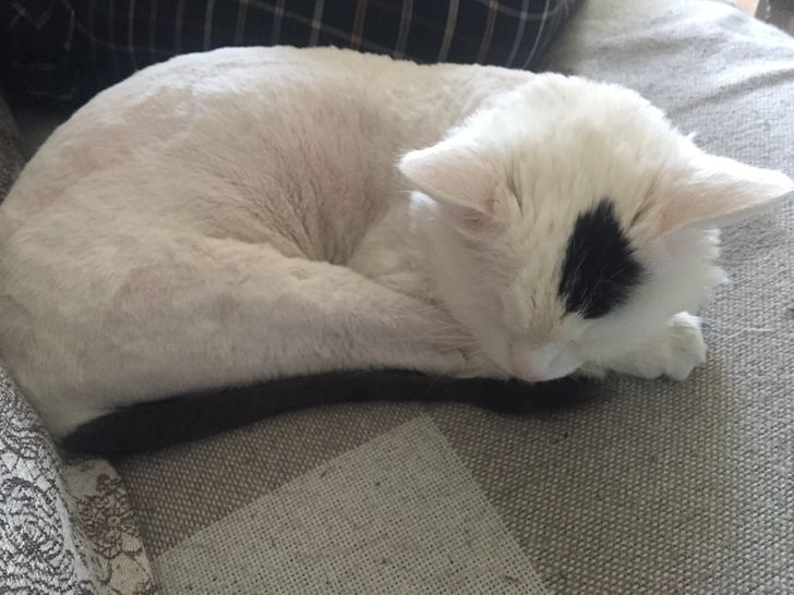 ee6b70579ca2b28e84d04dd4d8