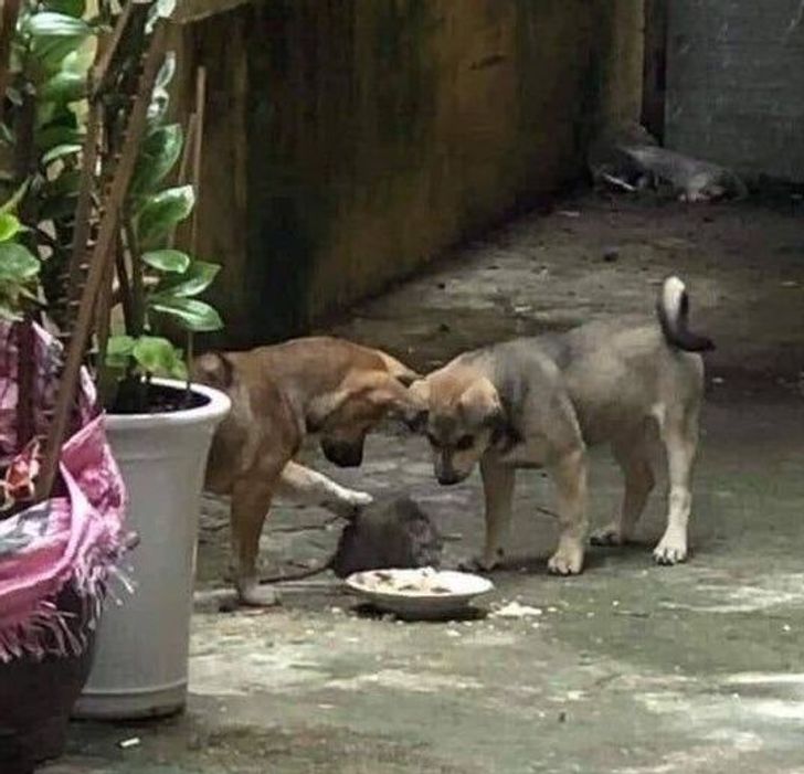 ee6f9e51c58b1656a712522838