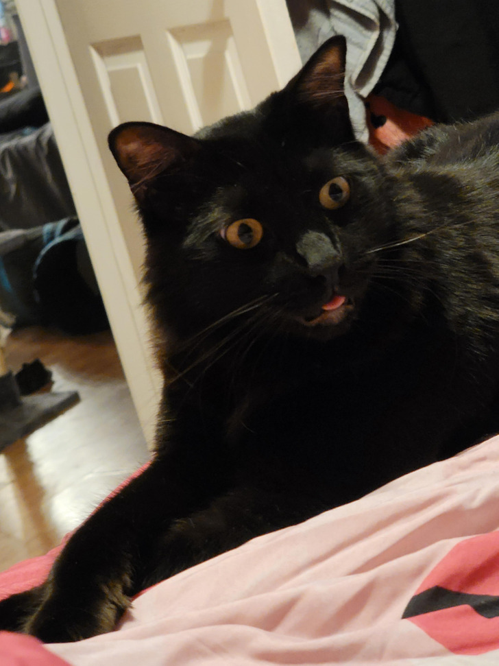 ee70255fad980fe837c3fa45fc