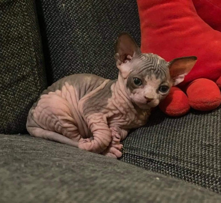 ee752a57a9995662053149fc79 ee752a57a9995662053149fc79