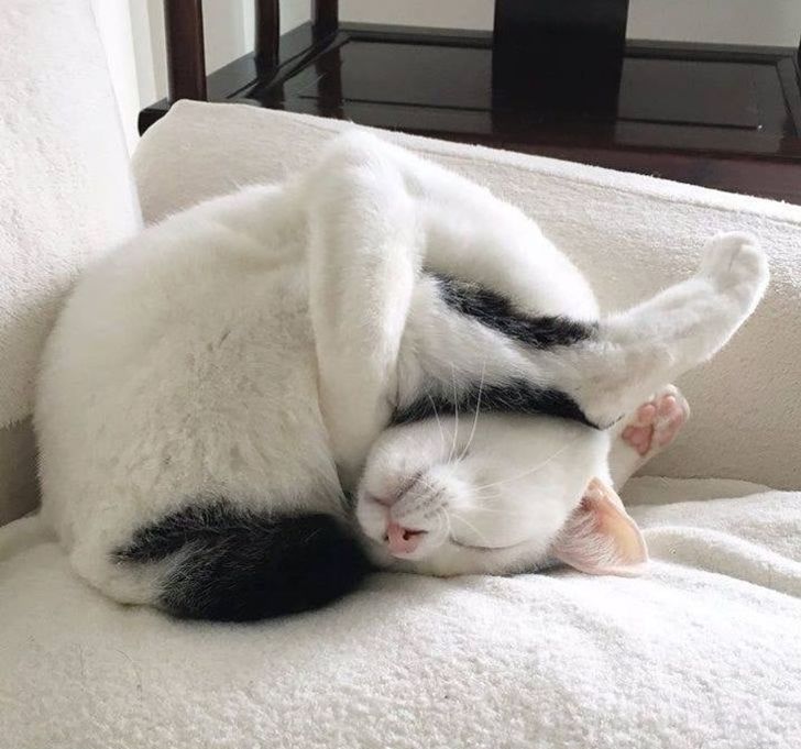 ee7a625b7ca9c1178c682015cc