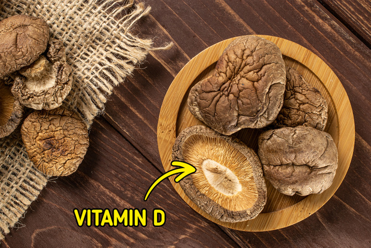 ee832e524d9f0596ff6dcffd31