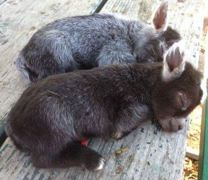 ee84f85a23bb8b2527fcfbed34