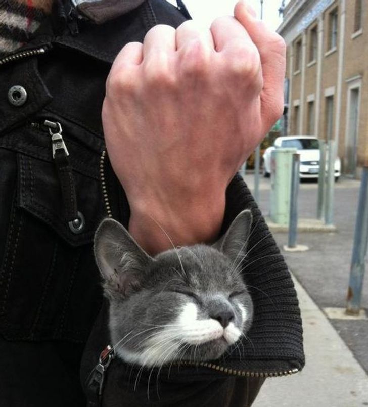 ee945f5f51865efec5c58e89b0