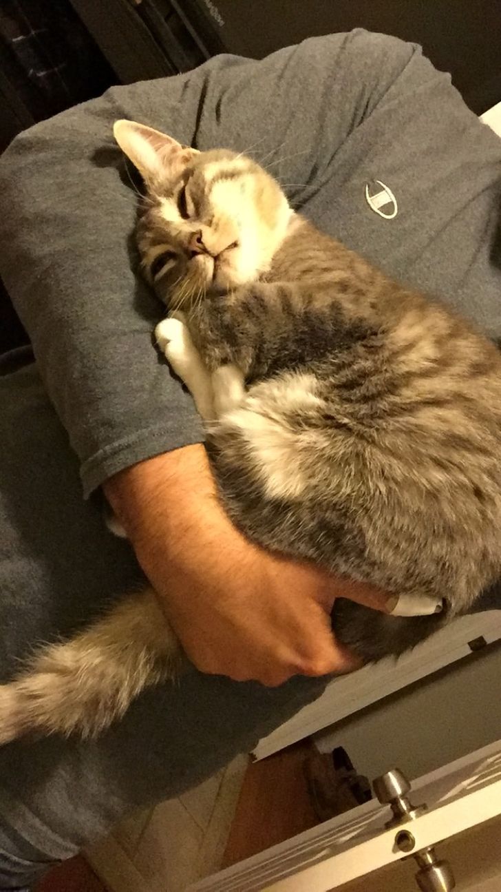 ee9b835fb38948ab7d6abfe561