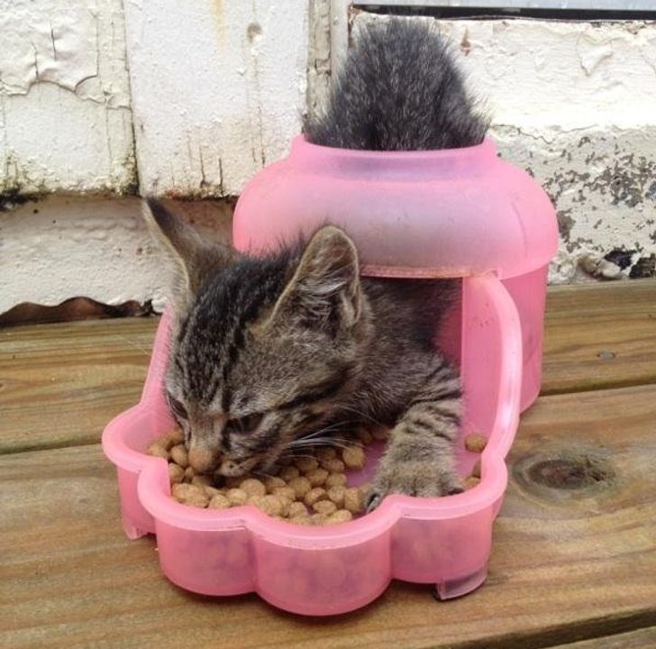 eea4c2564c8d32d0e12047b126