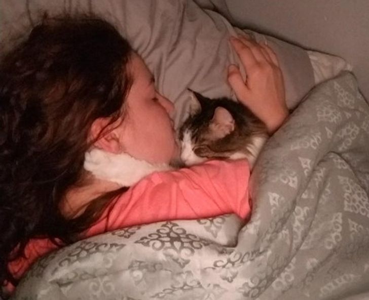 eea8675342a876e286a8bf97cc