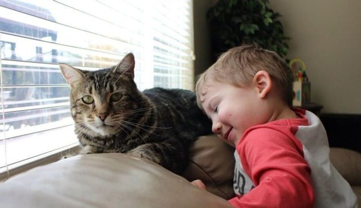 eea8685e1795087e90e1c77919