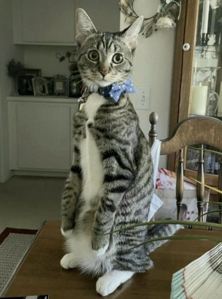 eeb65b590ab93c37ca5b563381