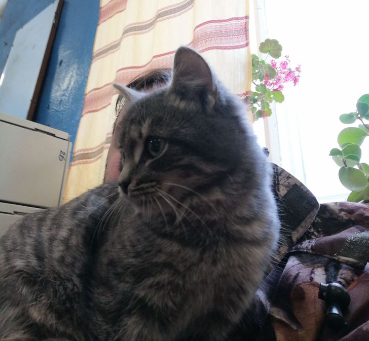 eeb743559cae2210985984798a