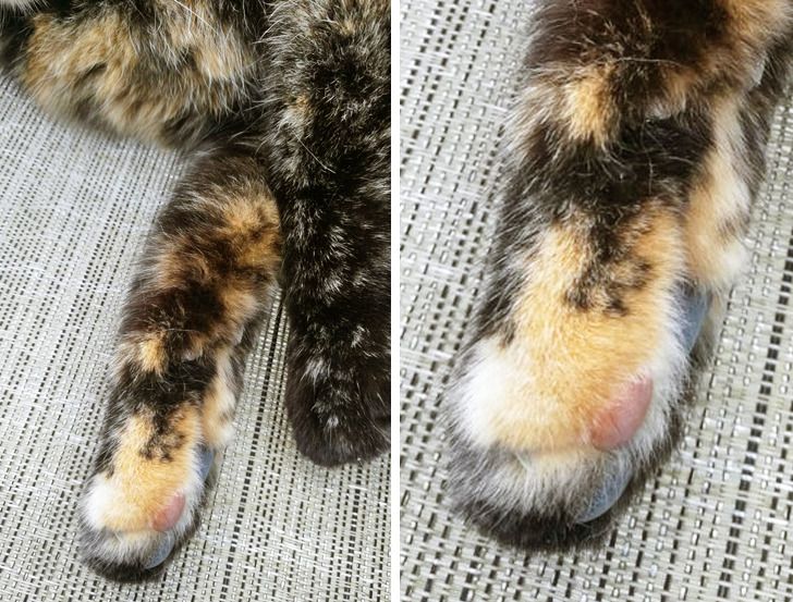 eeb85354d586c3067cd1dd7def