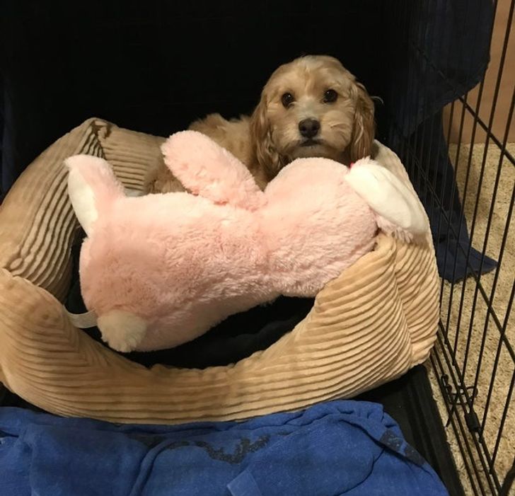 eebc29544da5fc440c874409dc