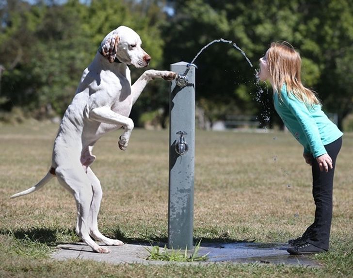 eecac1541787deb4b12e368eb5