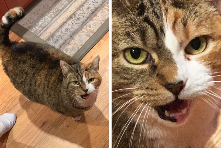 eecc99573c946d2c73b4f93fea