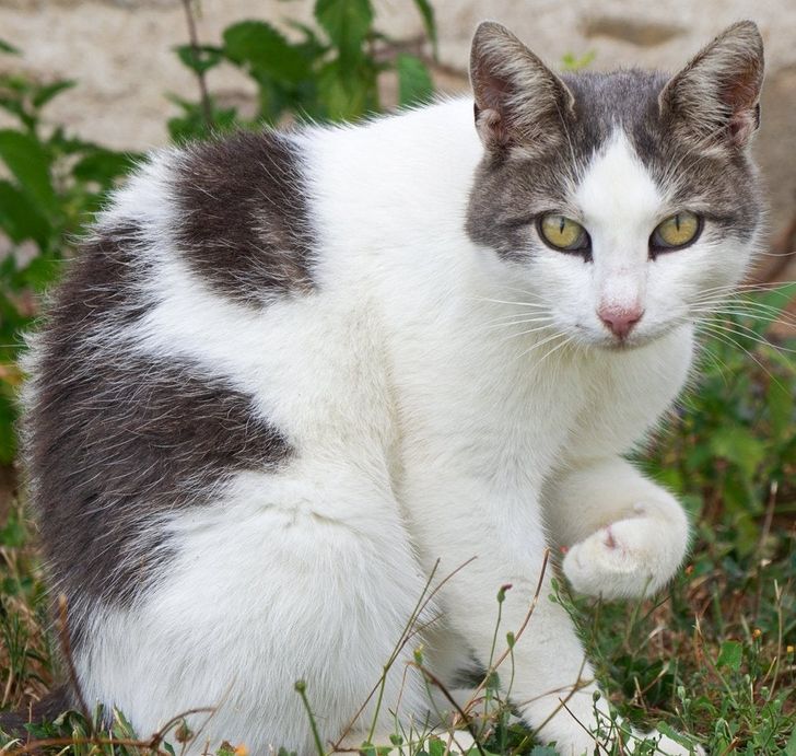 eed8115b9489fc645fe73193c2 eed8115b9489fc645fe73193c2