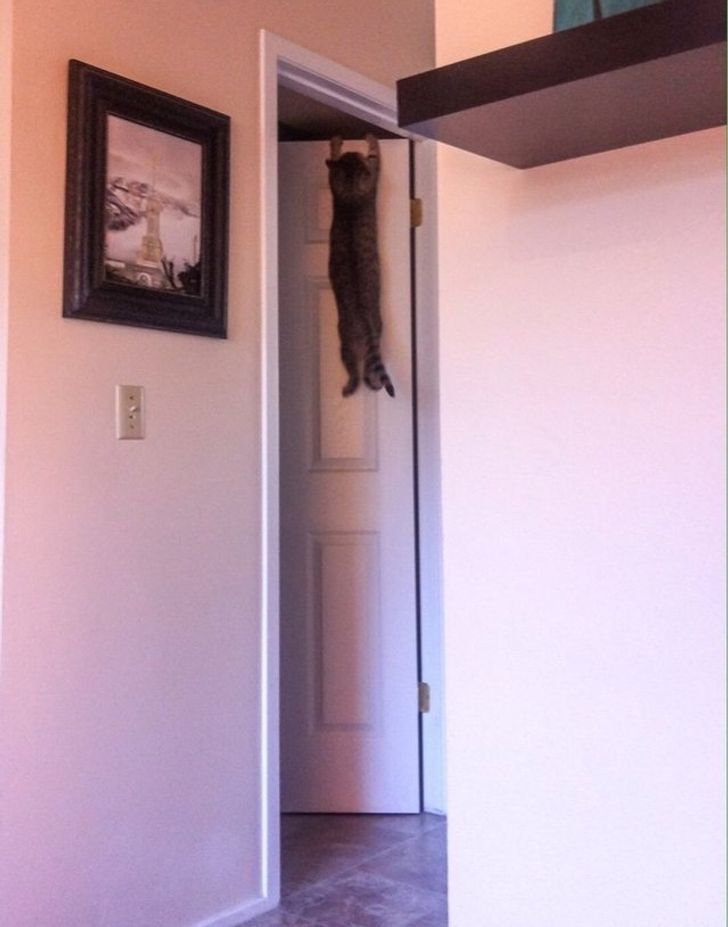 eee701554ab62ffbff84f45eba