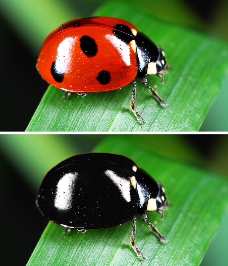 eeeb655ec5bfd738eb52c0ea9c