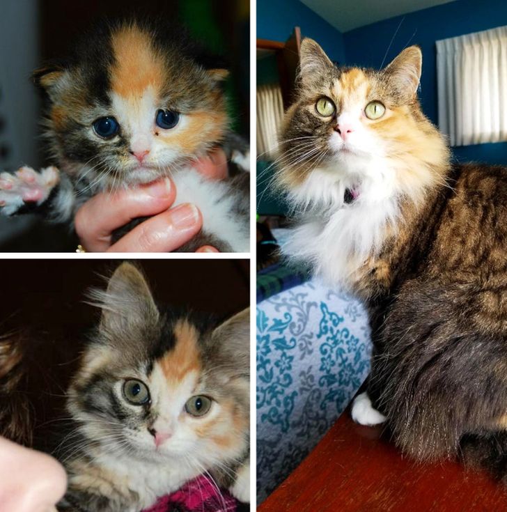 eeefcd5e689dd14d43a7dbf82c