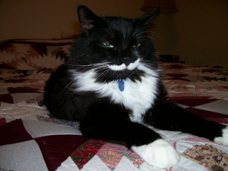 eef380557ba2293c35b2f4ab67