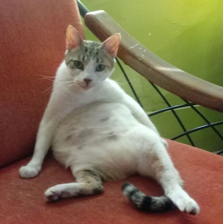 eef5975dd1afb568e595828911