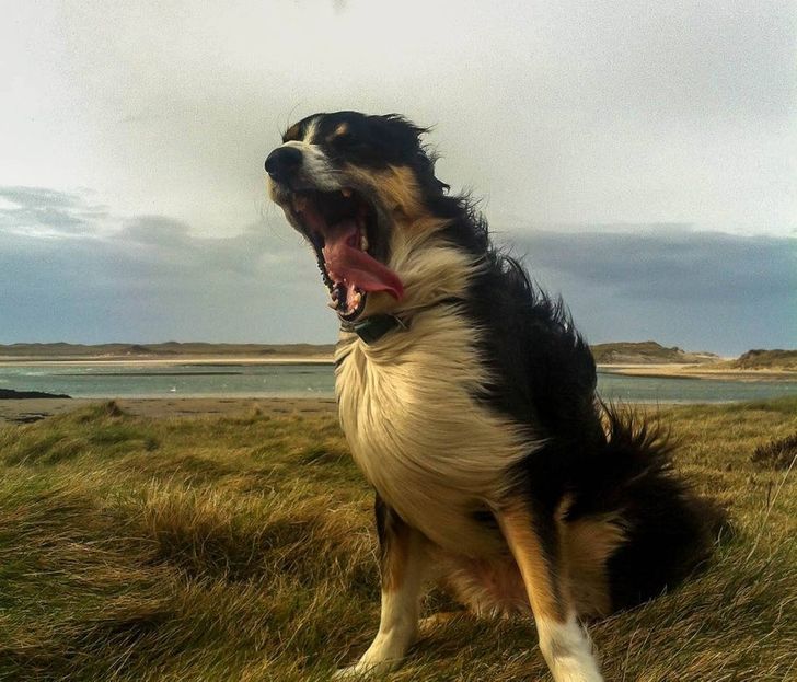 eef7c255c1bb2d3d04d3aebf9e